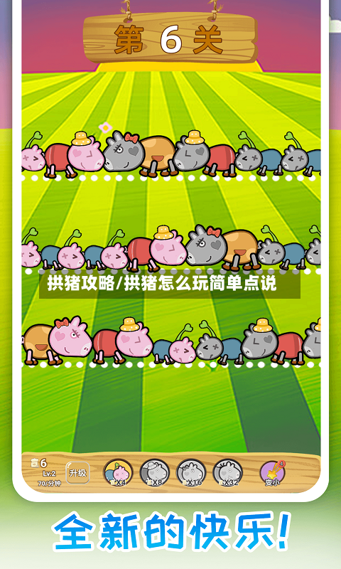拱猪攻略/拱猪怎么玩简单点说-第1张图片