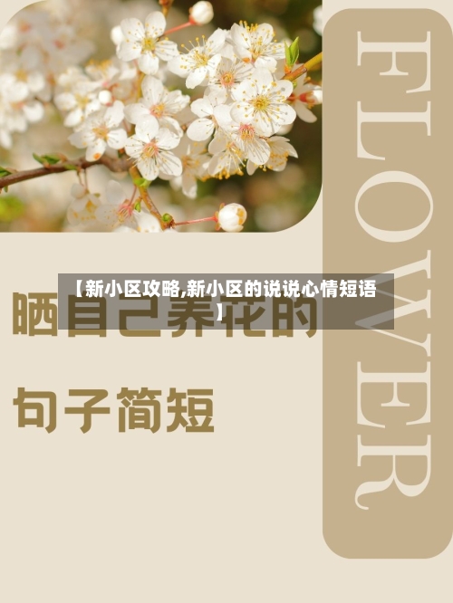 【新小区攻略,新小区的说说心情短语】-第1张图片