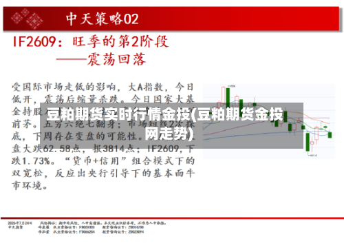 豆粕期货实时行情金投(豆粕期货金投网走势)-第1张图片