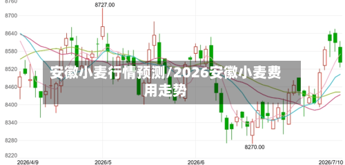 安徽小麦行情预测/2026安徽小麦费用走势-第1张图片