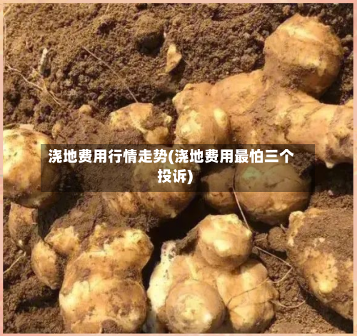 浇地费用行情走势(浇地费用最怕三个投诉)-第1张图片