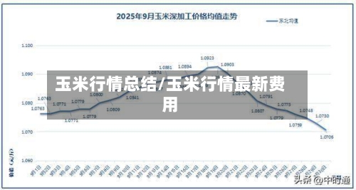 玉米行情总结/玉米行情最新费用-第1张图片