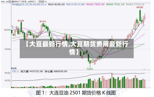 【大豆最新行情,大豆期货费用最新行情】-第1张图片