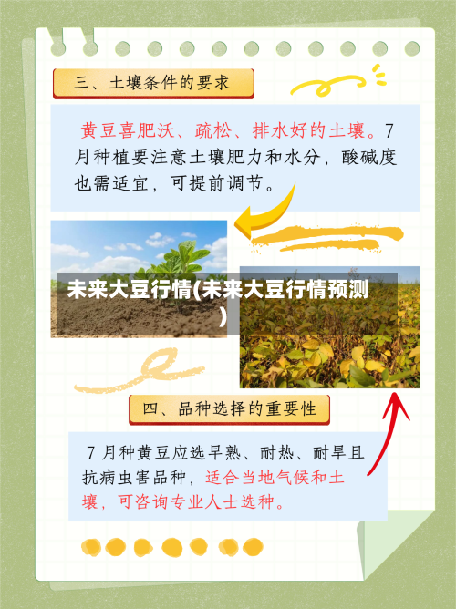 未来大豆行情(未来大豆行情预测)-第1张图片