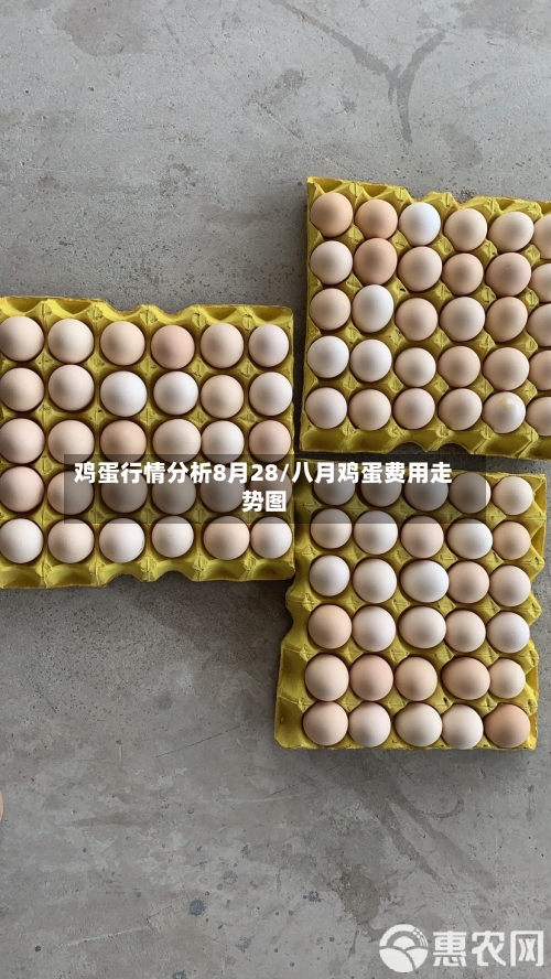 鸡蛋行情分析8月28/八月鸡蛋费用走势图-第1张图片