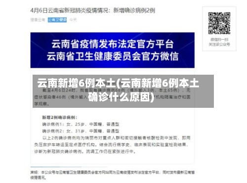 云南新增6例本土(云南新增6例本土确诊什么原因)-第1张图片
