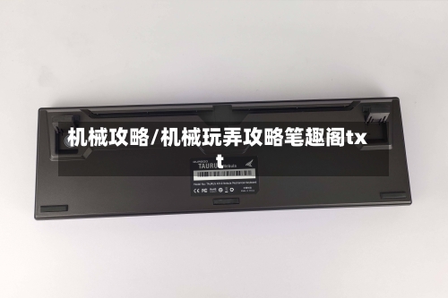 机械攻略/机械玩弄攻略笔趣阁txt-第1张图片