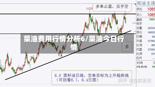 菜油费用行情分析6/菜油今日行情-第1张图片