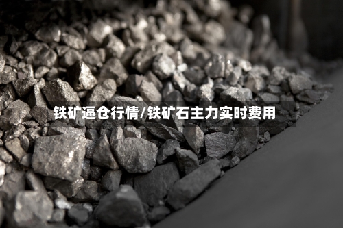 铁矿逼仓行情/铁矿石主力实时费用-第1张图片