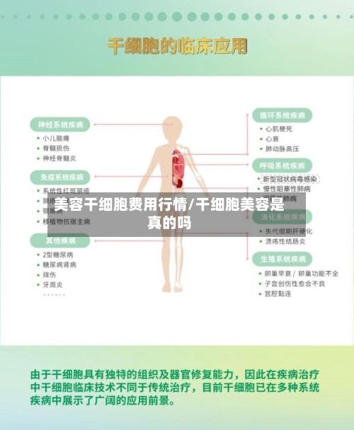 美容干细胞费用行情/干细胞美容是真的吗-第1张图片