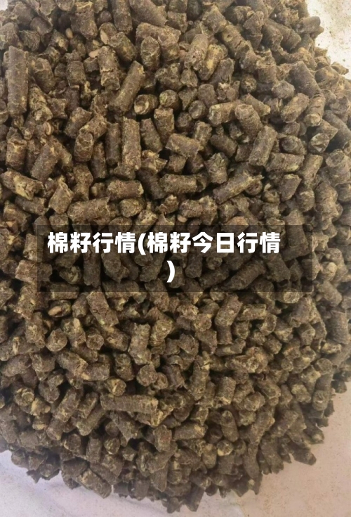 棉籽行情(棉籽今日行情)-第1张图片