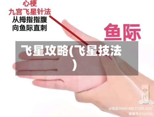 飞星攻略(飞星技法)-第1张图片
