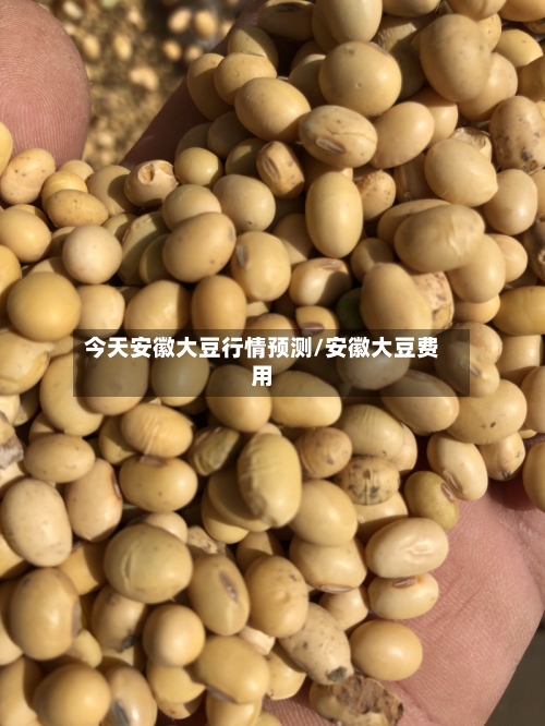 今天安徽大豆行情预测/安徽大豆费用-第1张图片