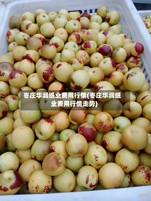 枣庄华润纸业费用行情(枣庄华润纸业费用行情走势)-第1张图片