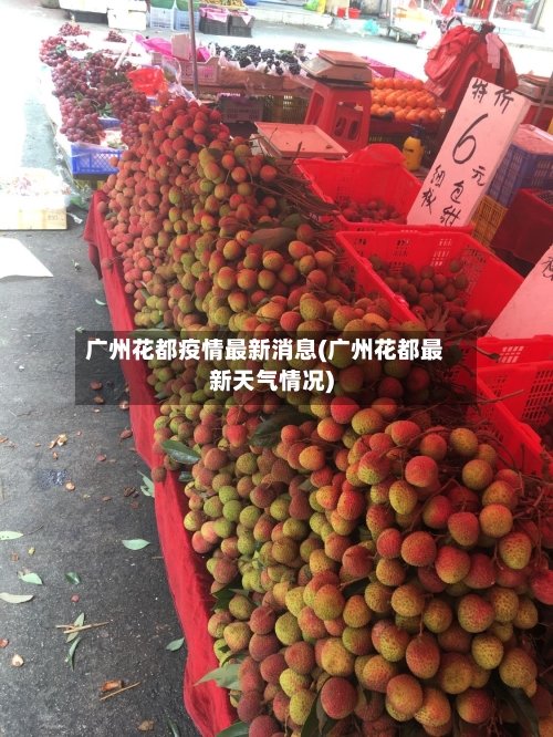 广州花都疫情最新消息(广州花都最新天气情况)-第1张图片