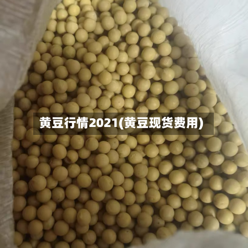 黄豆行情2021(黄豆现货费用)-第1张图片