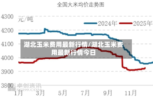湖北玉米费用最新行情/湖北玉米费用最新行情今日-第1张图片