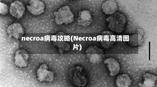 necroa病毒攻略(Necroa病毒高清图片)-第1张图片