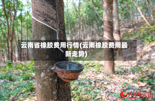 云南省橡胶费用行情(云南橡胶费用最新走势)-第1张图片