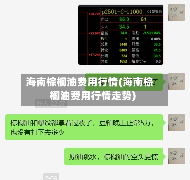 海南棕榈油费用行情(海南棕榈油费用行情走势)-第1张图片
