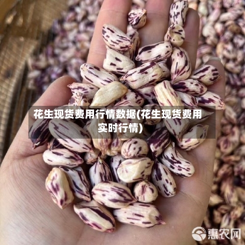 花生现货费用行情数据(花生现货费用实时行情)-第1张图片