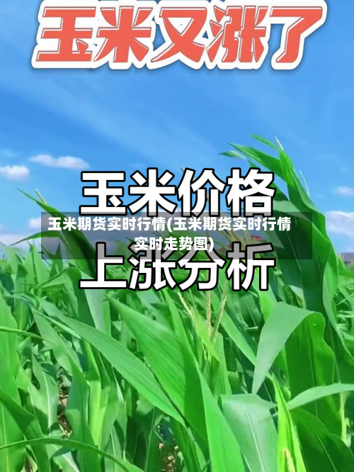 玉米期货实时行情(玉米期货实时行情实时走势图)-第1张图片