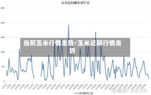 当前玉米行情走势/玉米近期行情走势-第1张图片