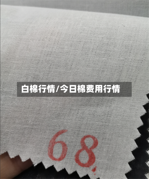 白棉行情/今日棉费用行情-第1张图片