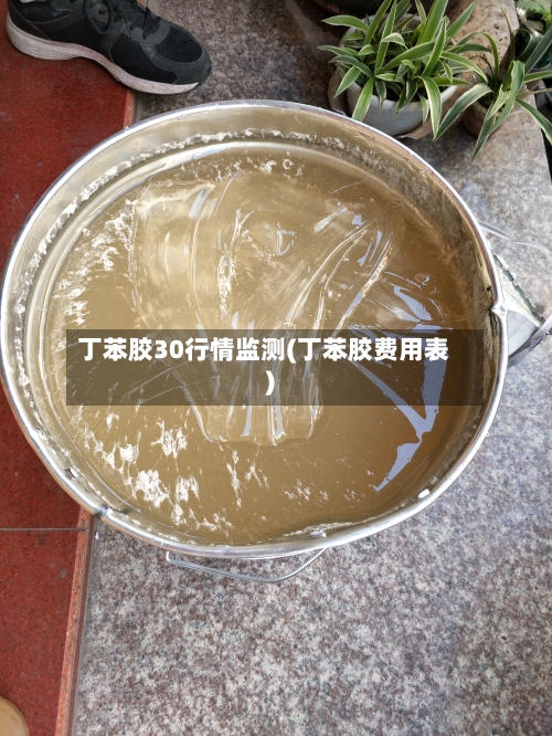 丁苯胶30行情监测(丁苯胶费用表)-第1张图片