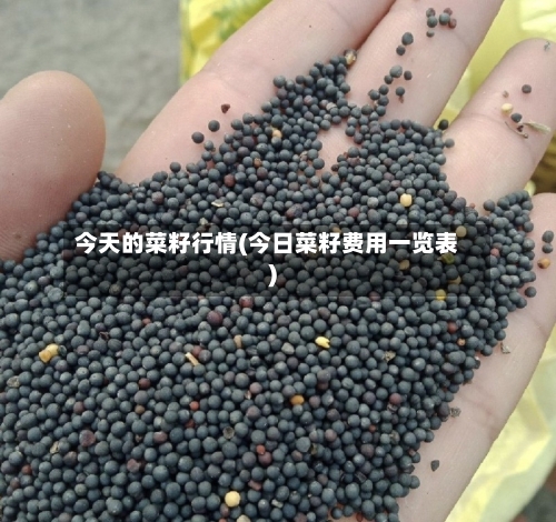 今天的菜籽行情(今日菜籽费用一览表)-第1张图片