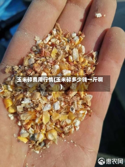 玉米碎费用行情(玉米碎多少钱一斤啊)-第1张图片