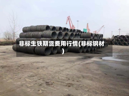 非标生铁期货费用行情(非标钢材)-第1张图片