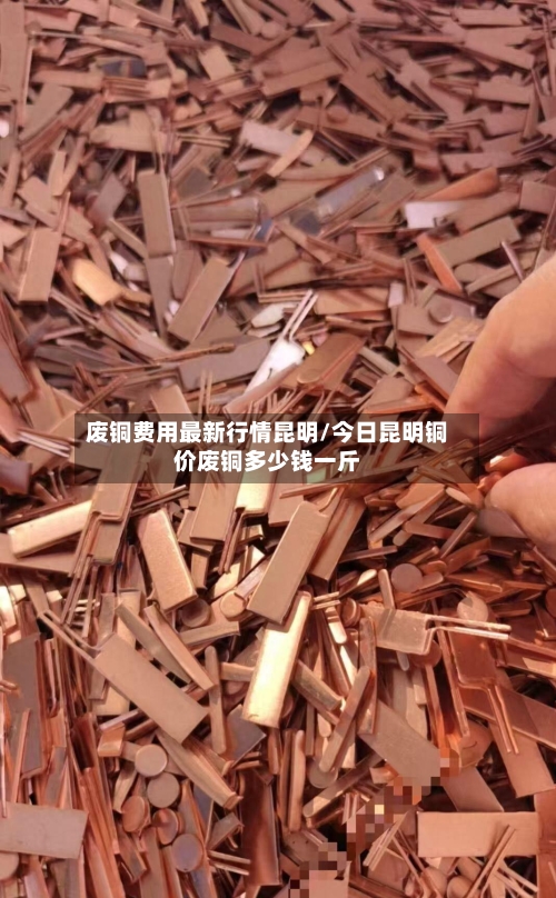 废铜费用最新行情昆明/今日昆明铜价废铜多少钱一斤-第1张图片