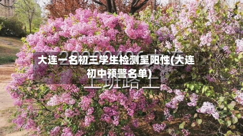 大连一名初三学生检测呈阳性(大连初中预警名单)-第1张图片