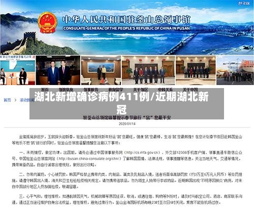 湖北新增确诊病例411例/近期湖北新冠-第1张图片