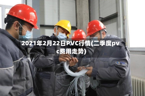 2021年2月22日PVC行情(二季度pvc费用走势)-第1张图片