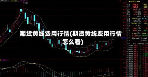 期货黄线费用行情(期货黄线费用行情怎么看)-第1张图片