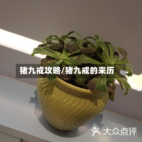 猪九戒攻略/猪九戒的来历-第1张图片
