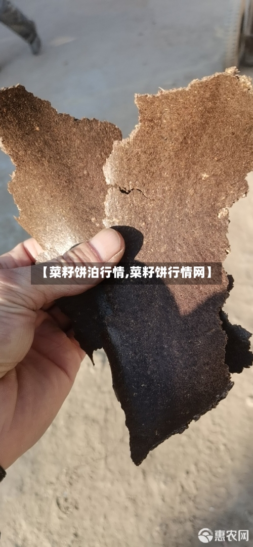 【菜籽饼泊行情,菜籽饼行情网】-第1张图片