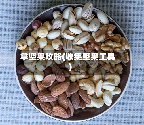 拿坚果攻略(收集坚果工具)-第1张图片