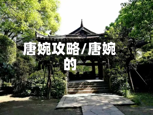 唐婉攻略/唐婉的-第1张图片