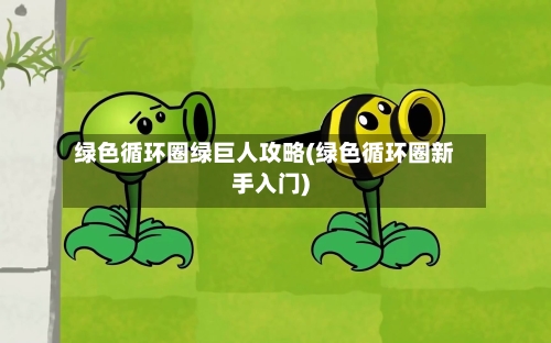 绿色循环圈绿巨人攻略(绿色循环圈新手入门)-第1张图片