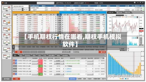 【手机期权行情在哪看,期权手机模拟软件】-第1张图片