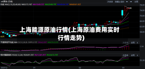 上海能源原油行情(上海原油费用实时行情走势)-第1张图片