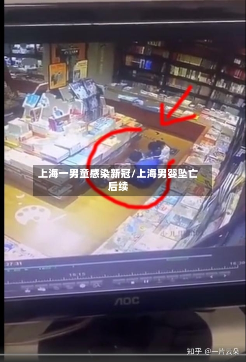 上海一男童感染新冠/上海男婴坠亡后续-第1张图片