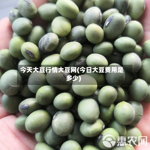 今天大豆行情大豆网(今日大豆费用是多少)-第1张图片