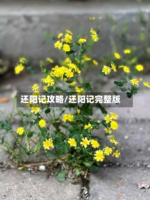 还阳记攻略/还阳记完整版-第1张图片