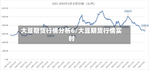 大豆期货行情分析6/大豆期货行情实时-第1张图片