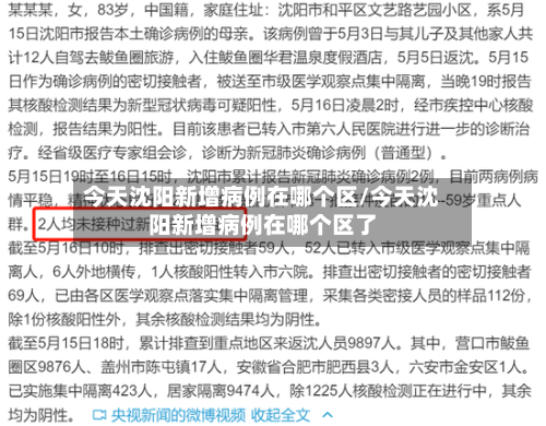 今天沈阳新增病例在哪个区/今天沈阳新增病例在哪个区了-第1张图片