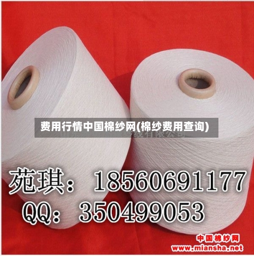 费用行情中国棉纱网(棉纱费用查询)-第1张图片